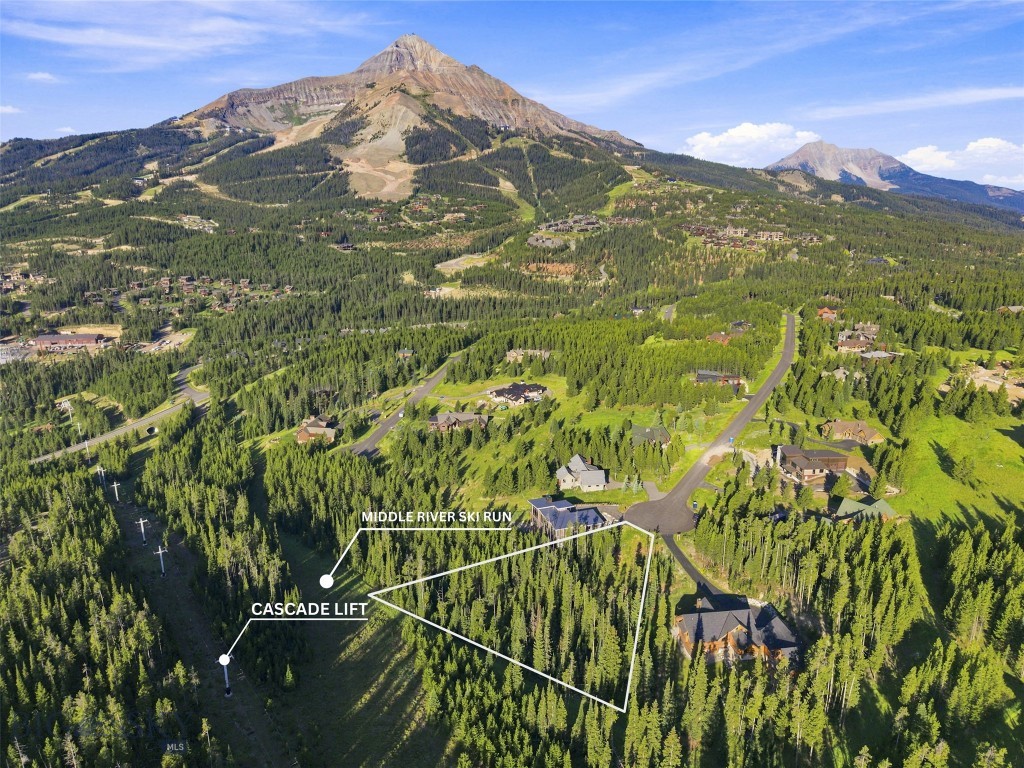 40 Swift Bear, Big Sky