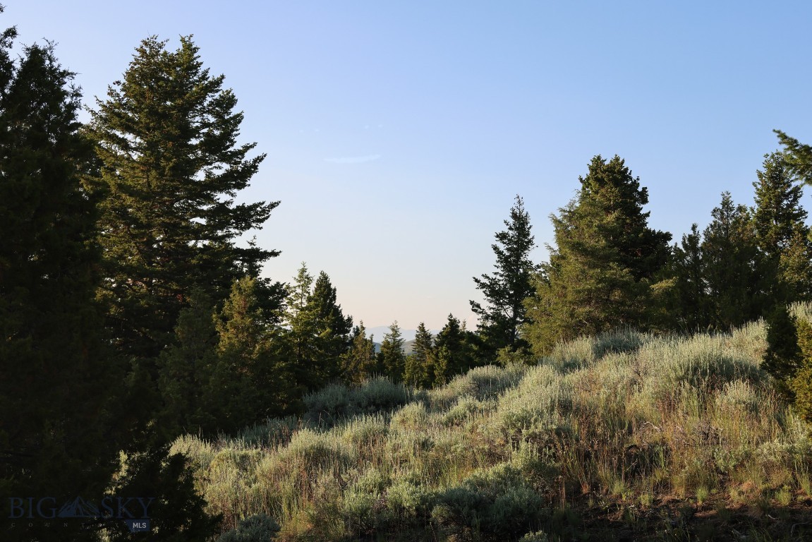 Lot 31 Round Pole Drive, Three Forks
