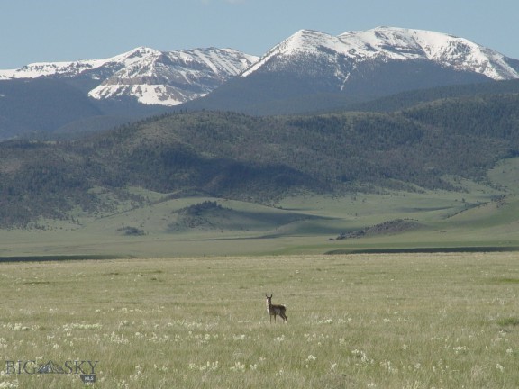 Lot 108 Holding Pen, Cameron, Montana