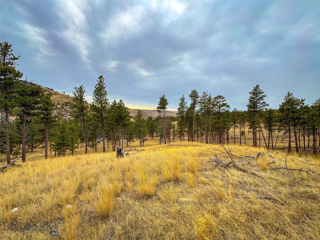 40 Acres American Bar Road, Helena