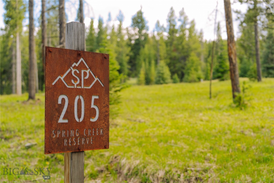 Lot 205 Outlook Trail, Big Sky