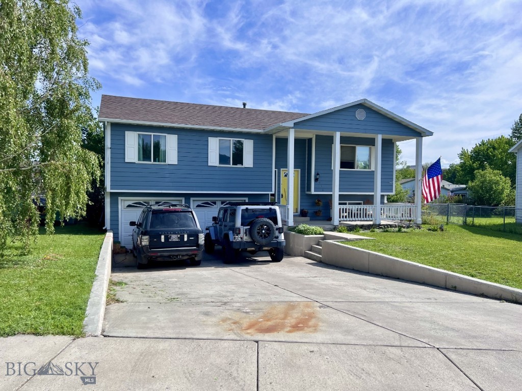 616 Comet, Livingston
