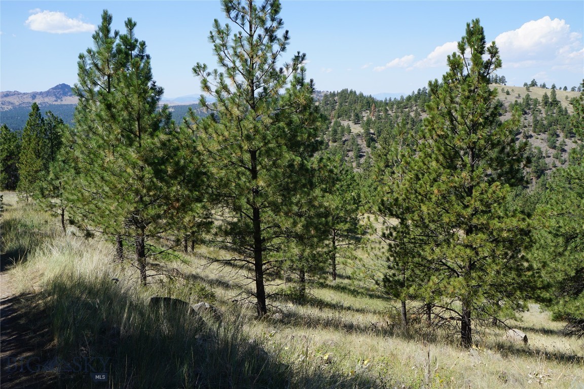TBD Ridge Crest Lane, Cascade