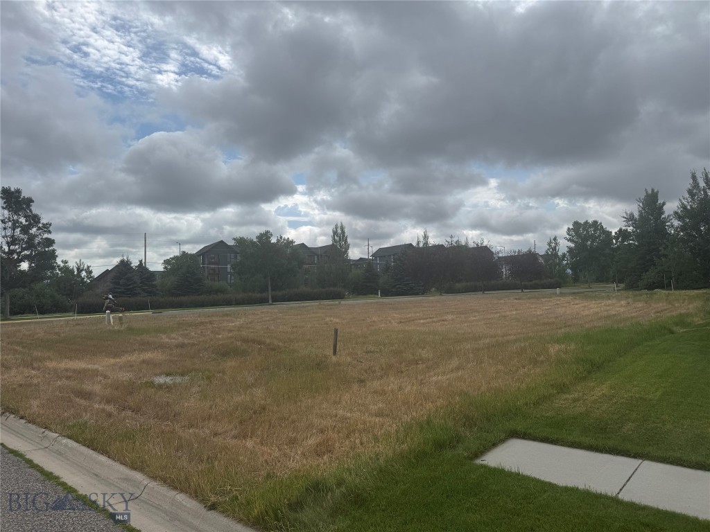 4754 Vine Street (Duplex +ADU), Bozeman
