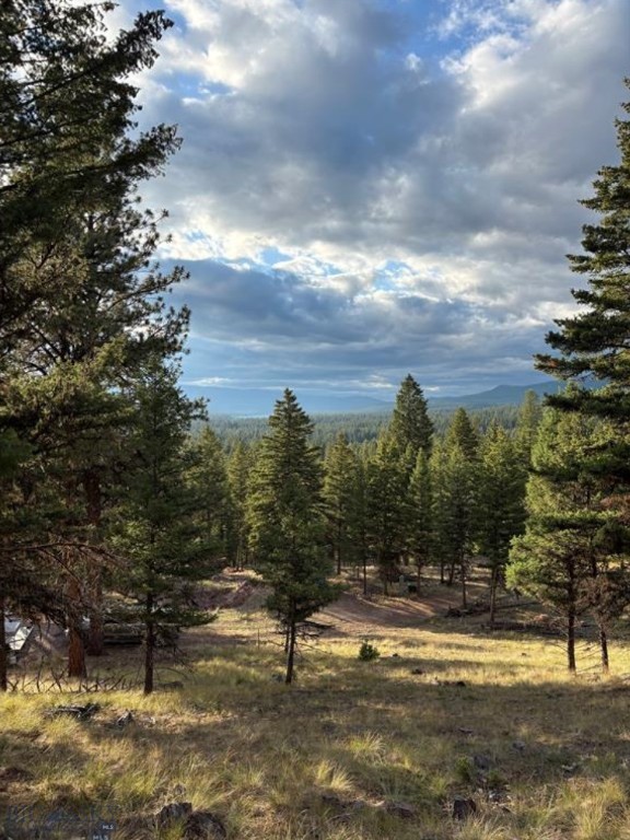 451 Crimson Peak Ct, Seeley Lake