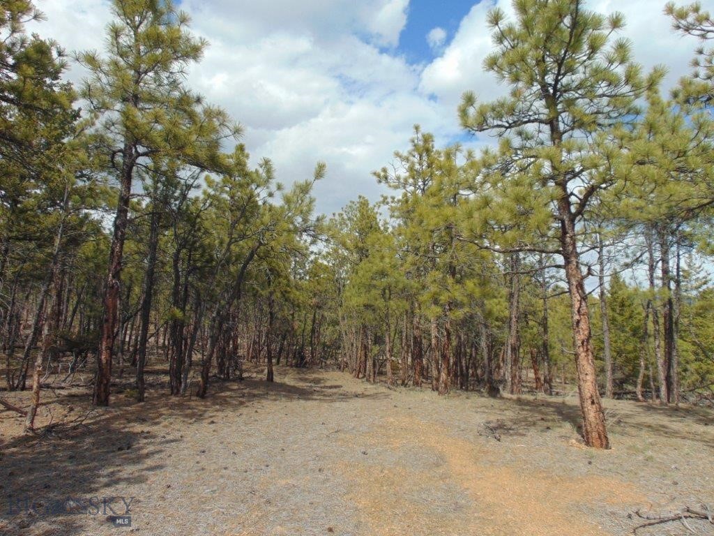 3575 Sweetwater Rd Road, Helena