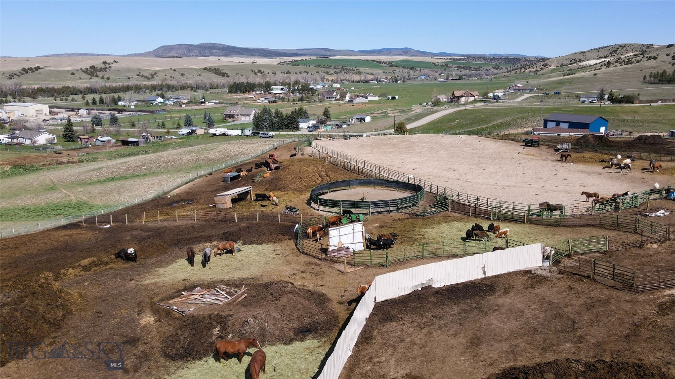 7135 Raven, Belgrade