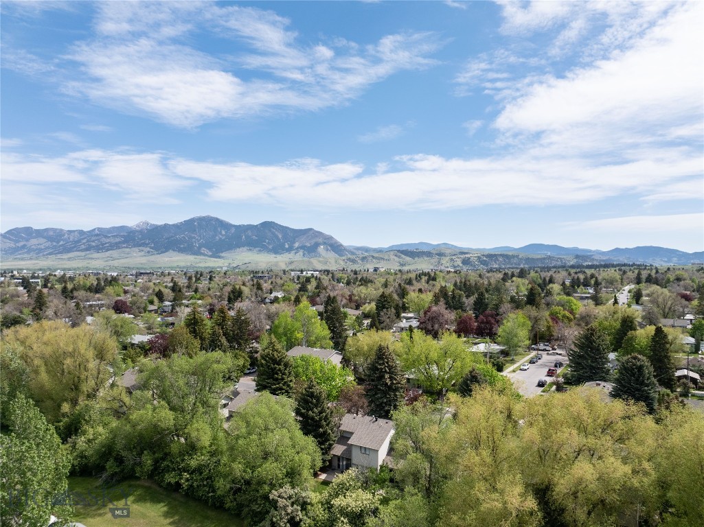 617 S 15th Avenue, Bozeman