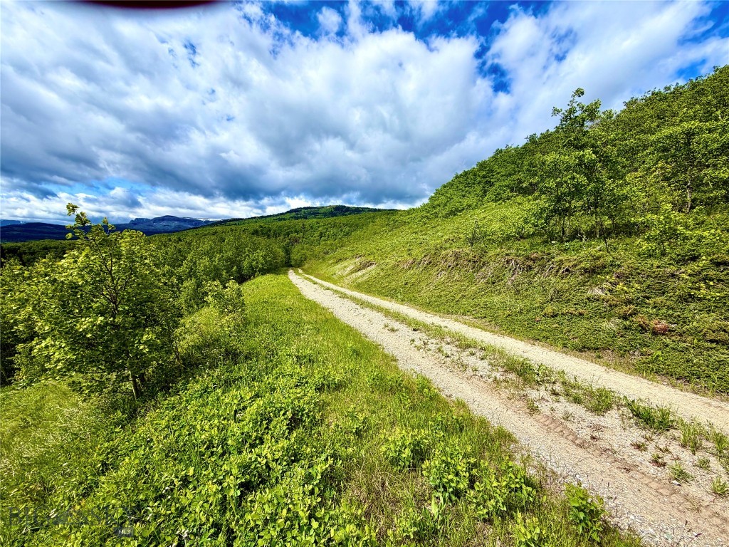 Lot 8 Arlie Tract, Babb