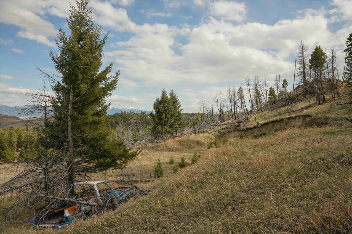 NHN Upper Radar Creek, Whitehall, Montana