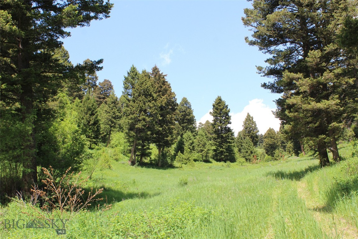 14815 Pony Creek, Bozeman