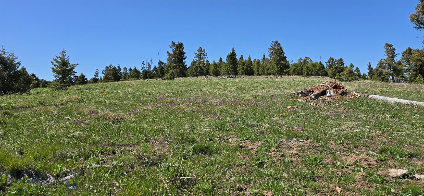 9 Garnet Range Tract, Drummond
