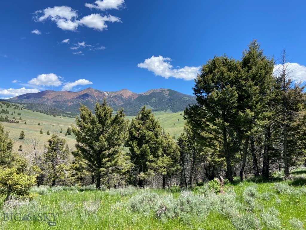 2544 North Camp Creek Road, Melrose