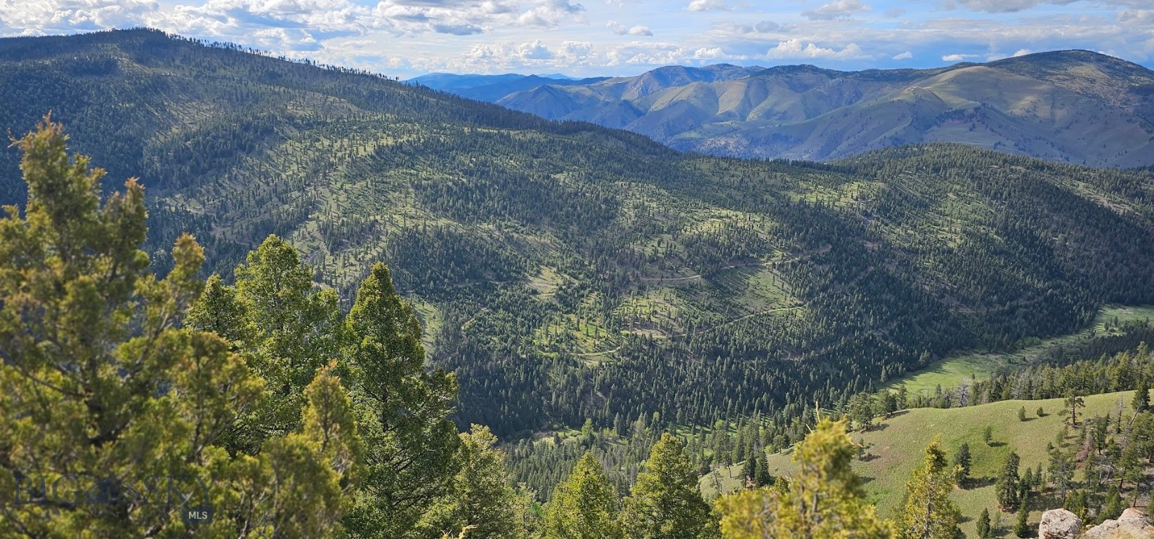10 & 11 Tract, Bull Elk, Drummond