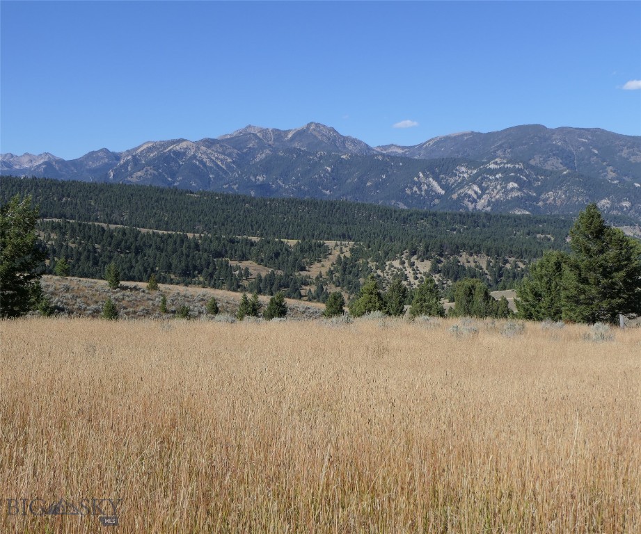TBD Timberloft, Big Sky