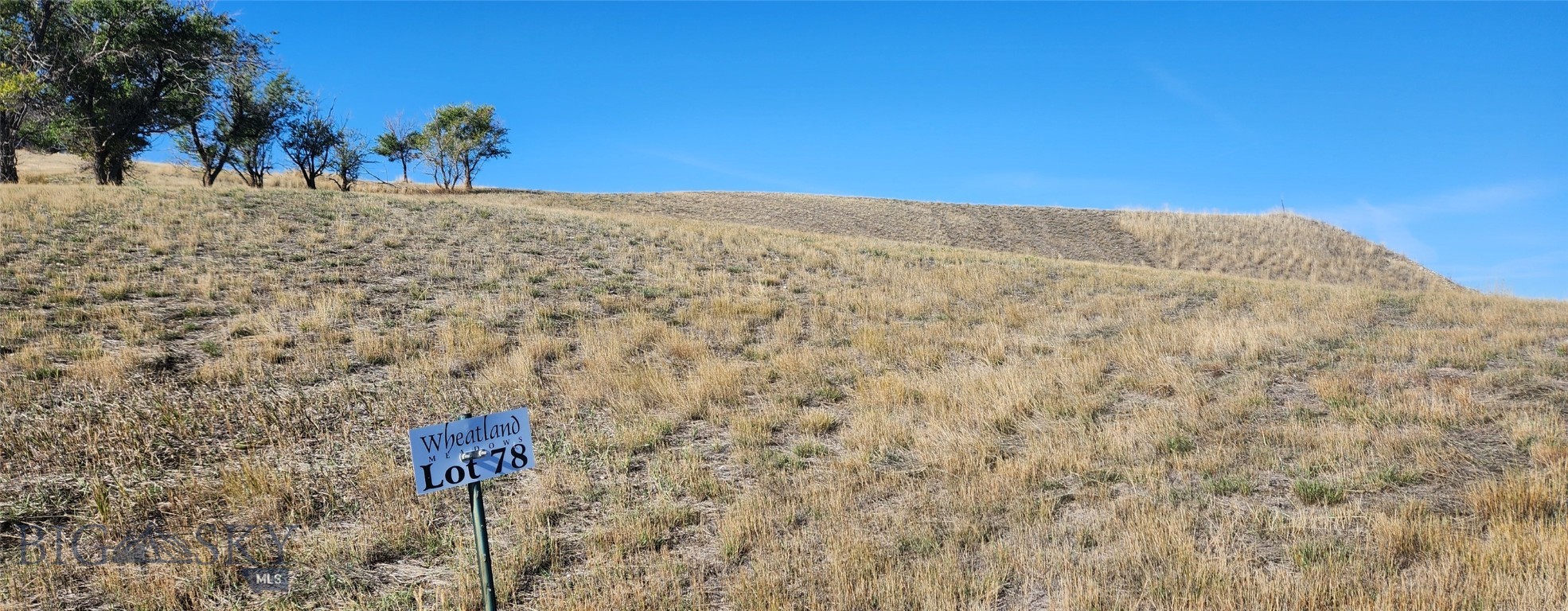 Lot 78 Wild Mint Court, Three Forks