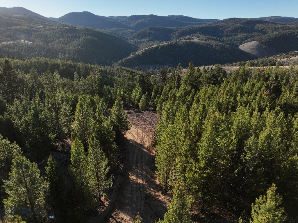 Lot 2 Ruby Mine Road, Butte