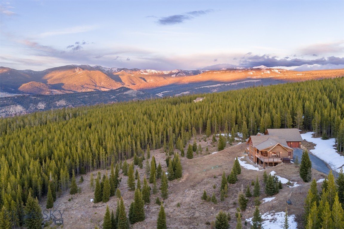 165 Trophy Bull, Gallatin Gateway, Montana