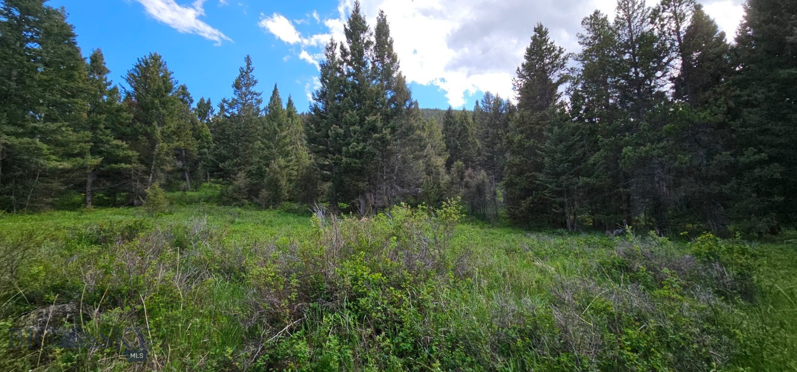 11 Tract, Hall Creek, Helmville