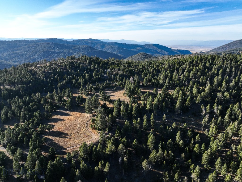 ~38.6 Acres Slate Road, Helmville