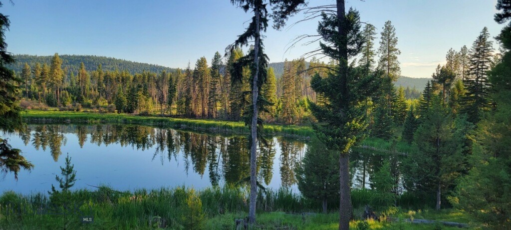 281 Daisy Lane, Seeley Lake, Montana