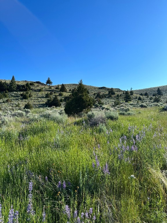 Tract 1C-2, 162.2ac Private Rd off MT Hwy 287, Virginia City, Montana