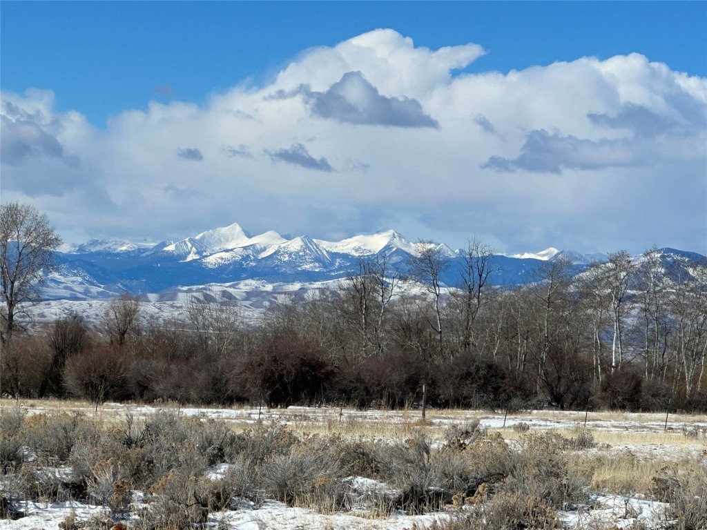 Tract 8 61.13 acres, Sheridan, Montana