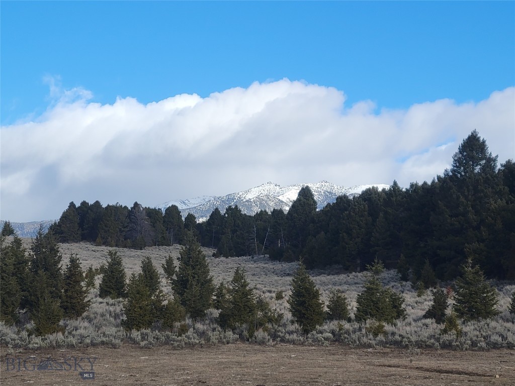 TBD Parcels 3A &4A Bivens Creek Ridge Road, Sheridan, Montana