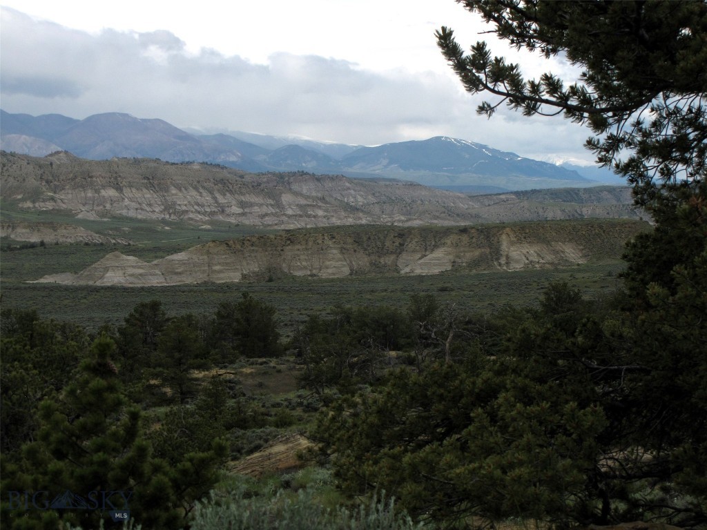 nhn Cottonwood Road, Bridger