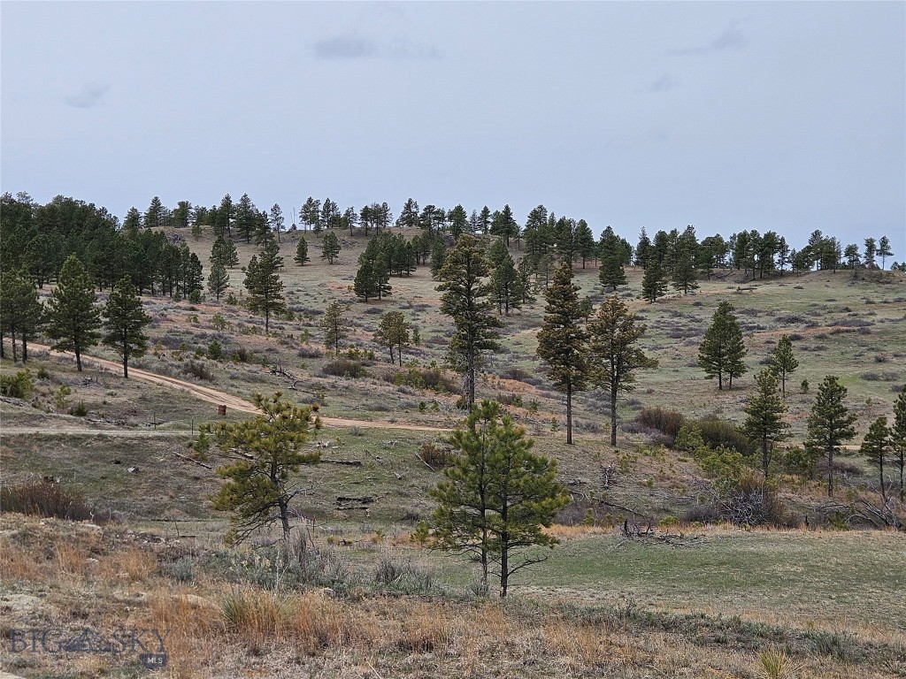 MC-42 Moon Creek Road, Miles City