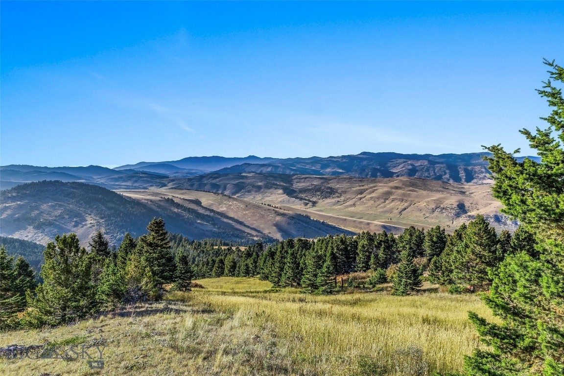 NHN Coyote (lot 69) Drive, Livingston