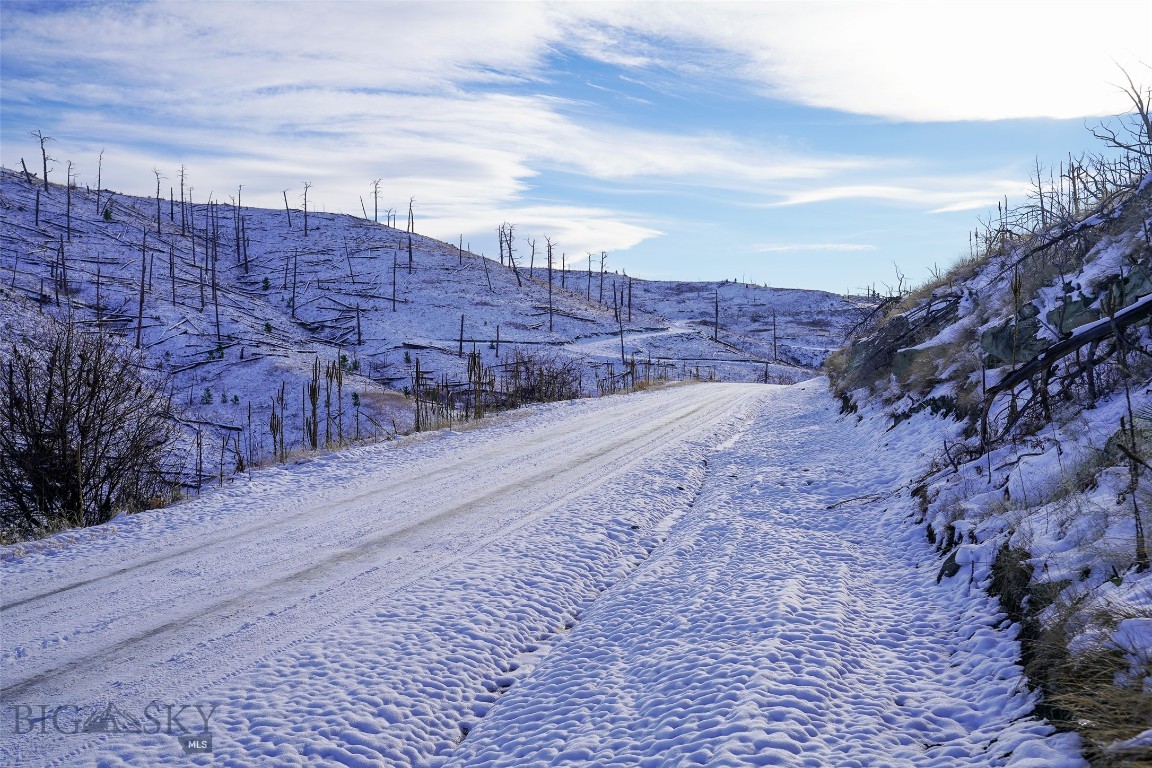 TBD Lot#222 Coyote Pass, Columbus