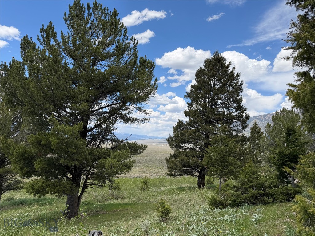 Parcel 2 & 4A Continental Divide RD, Cameron