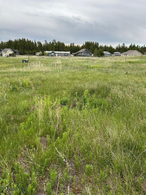 TBD Buffalo Drive, West Yellowstone