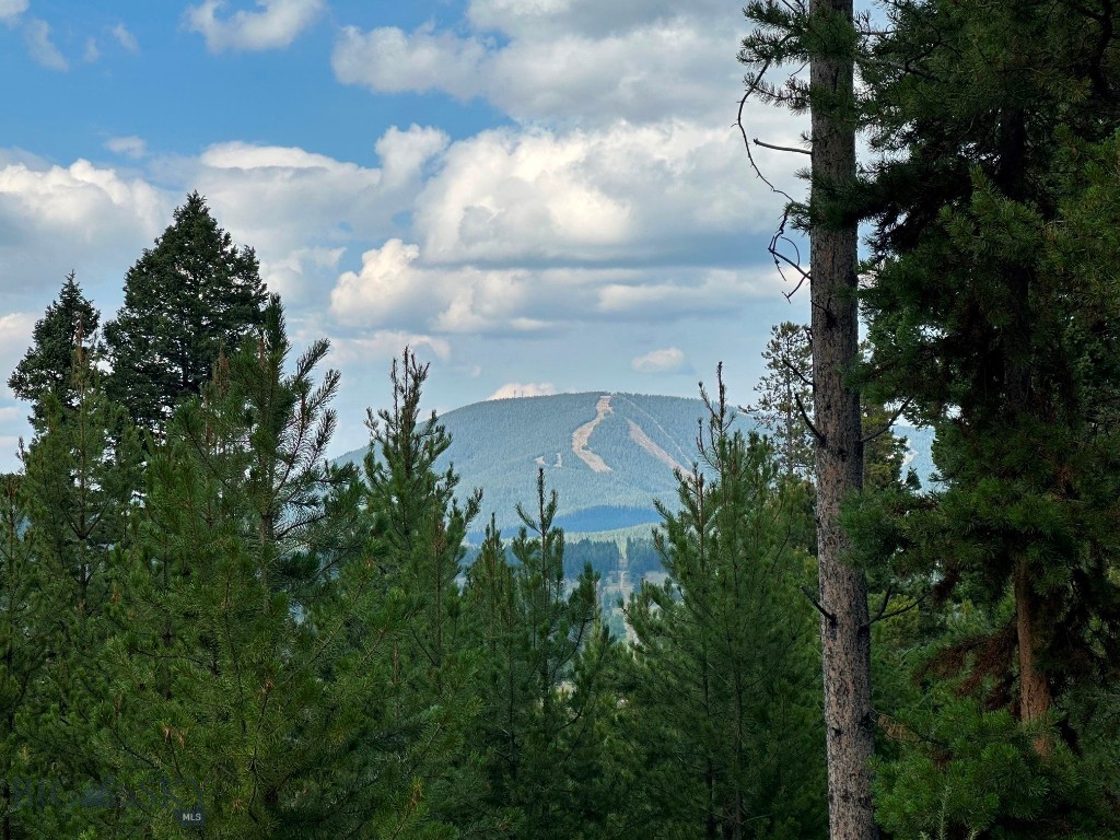 13 Discovery View Lane, Anaconda, Montana