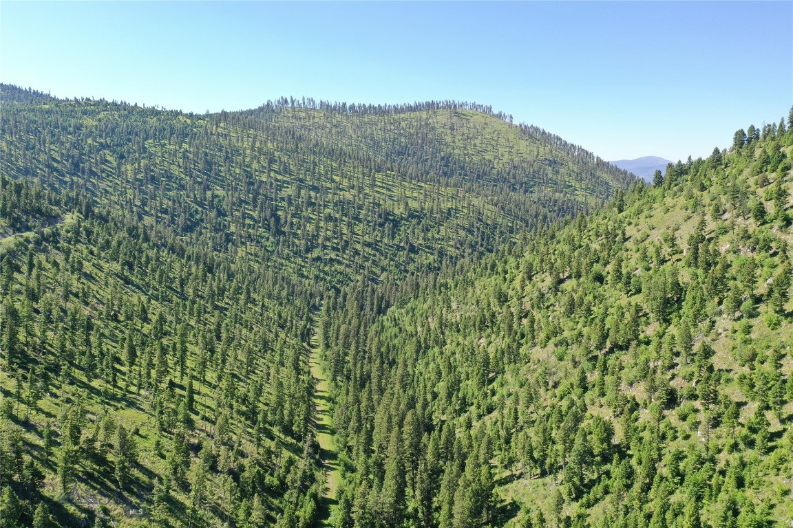 7 Tract, Garnet Range, Drummond