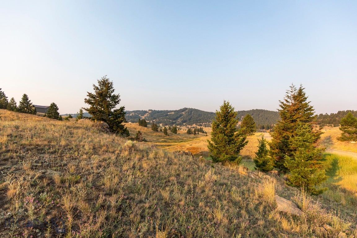 Lot 21 Ski Area Loop, Butte