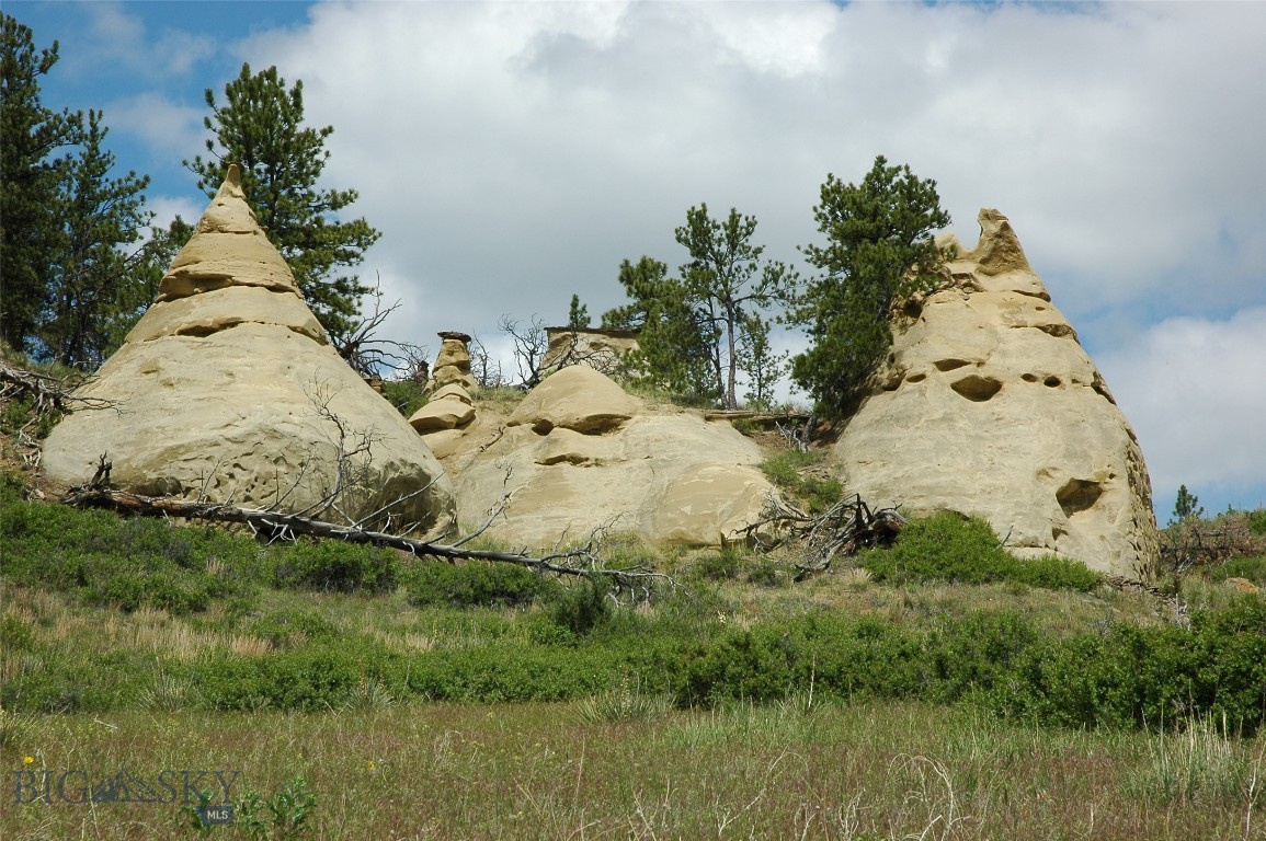 NHN Rock Canyon Lane BLK-4, Hysham, Montana