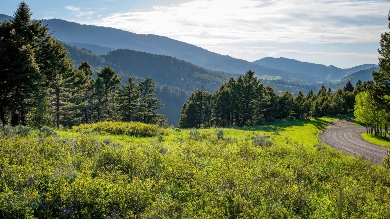 3539 Claim Creek Road, Bozeman, Montana