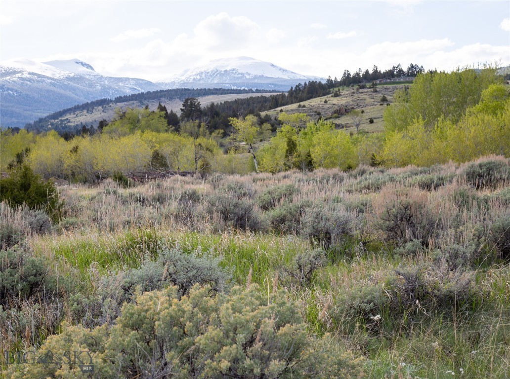 Lot 4 Weys View, McAllister