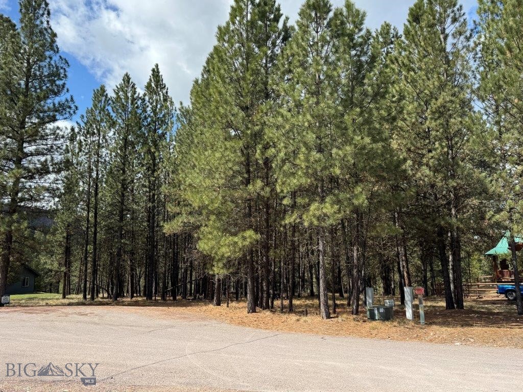 312 Dunham Court, Seeley Lake