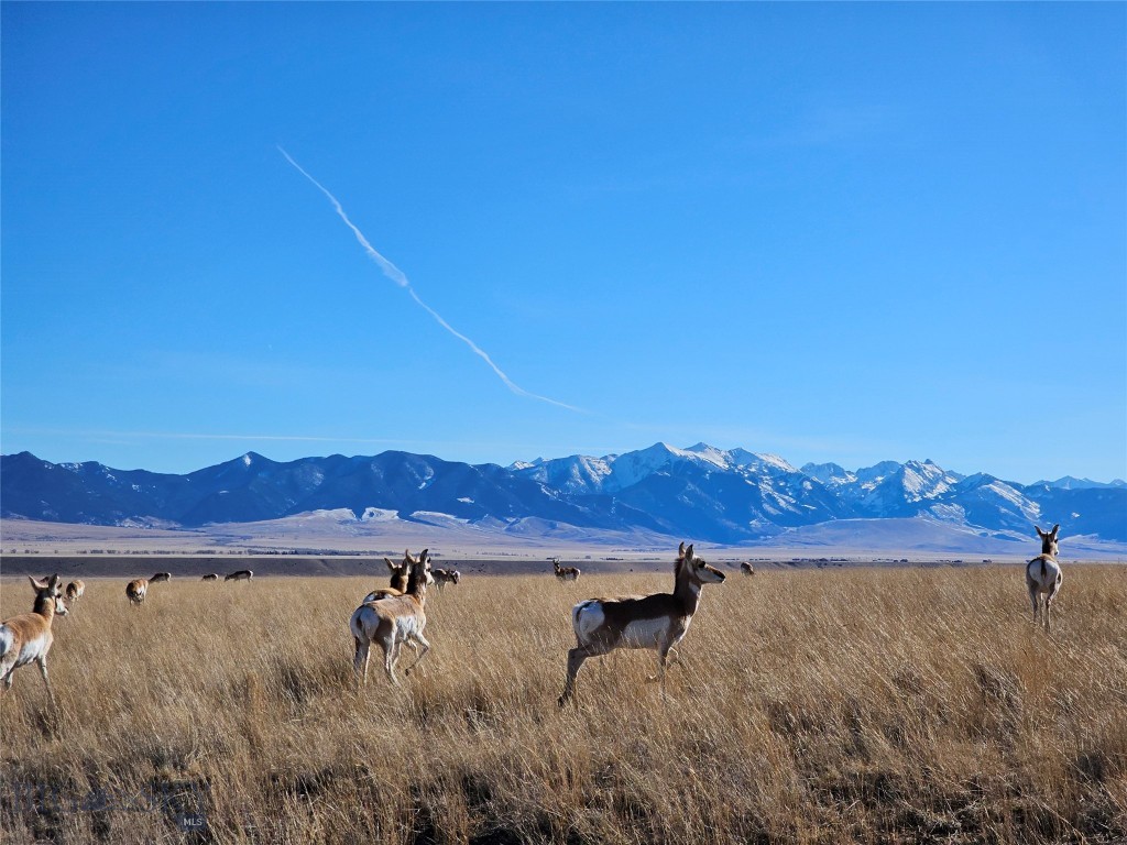 TBD Cow camp Trail, Ennis