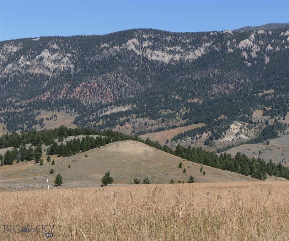 TBD Timberloft, Big Sky