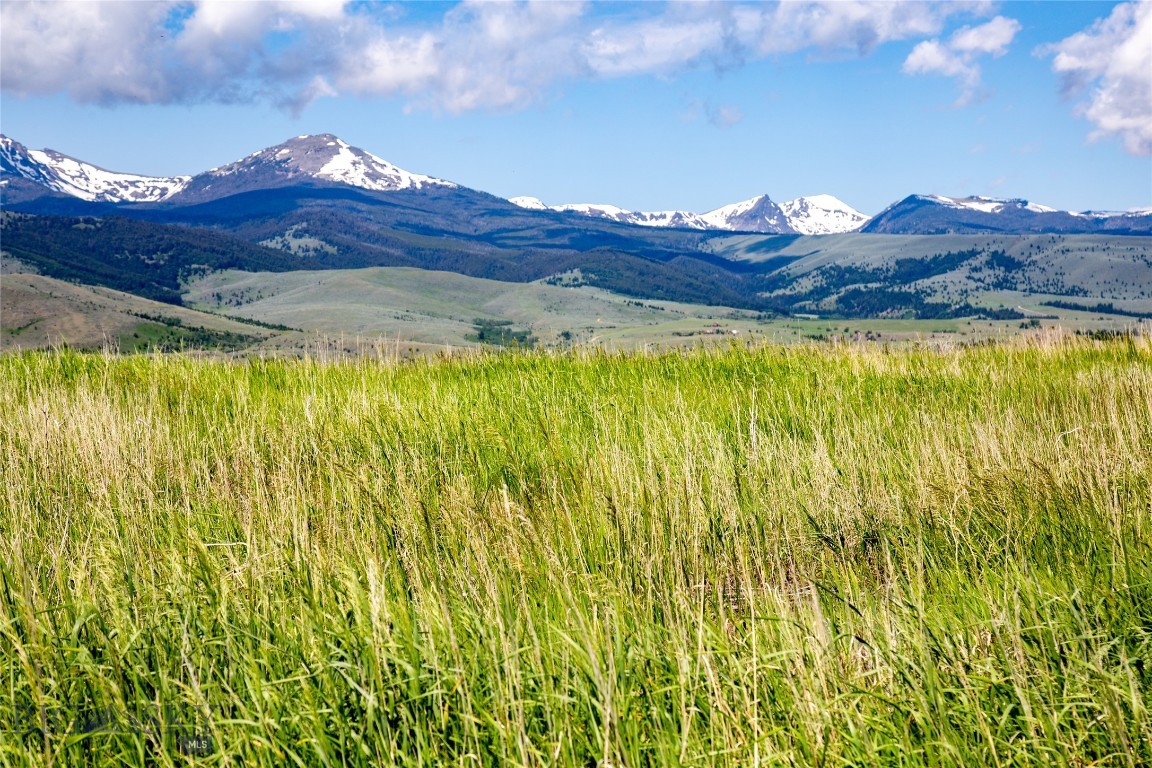 Tract 3 and 4 Shining Mountains West, McAllister