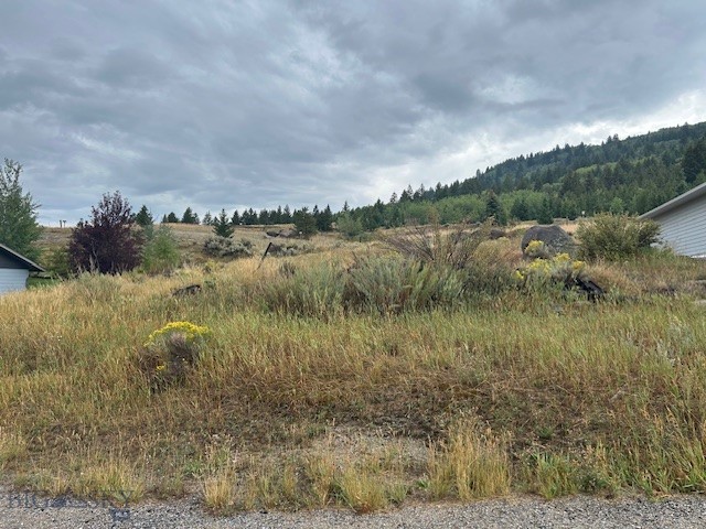 LOT 12 Mammoth, Butte
