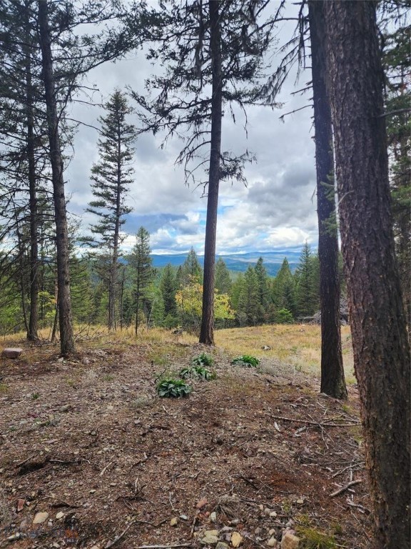 408 Montana View Drive, Seeley Lake