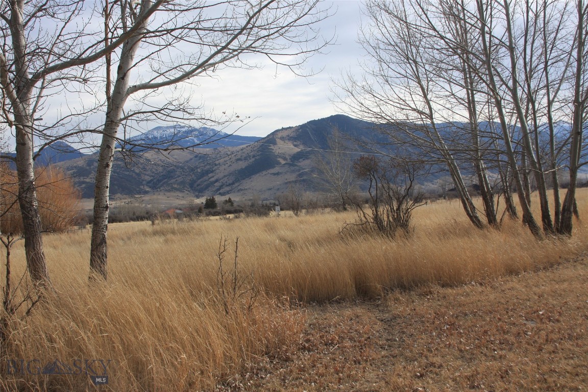 130 Parrot Castle Road, Whitehall