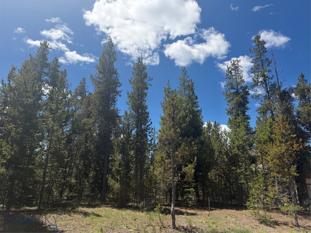 612 Apollinaris Avenue, West Yellowstone, Montana