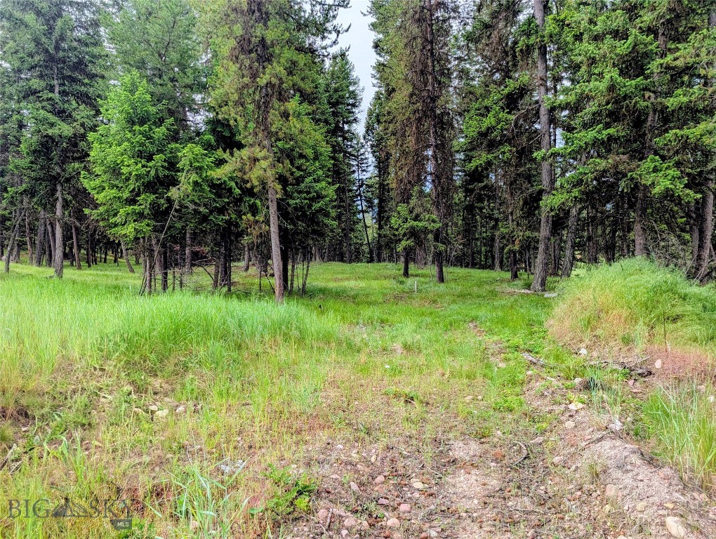 304 Seclusion, Seeley Lake, Montana