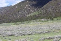 Lots A54 and A55 Sportsman's Paradise #6, Cameron, Montana